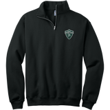 Biggby Spartans NuBlend 1/4-Zip Cadet Collar Sweatshirt