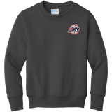 Metro Jets Youth Core Fleece Crewneck Sweatshirt